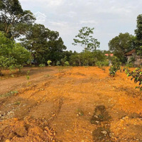 Thanh Khoản Lô Đất Nghỉ Dưỡng View Cánh Đồng Diện Tích: 1534M2 Thổ Cư 200M2 Tại Vân Hòa Ba Vì Hn