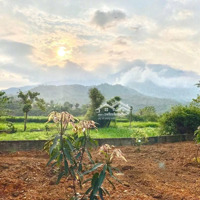 Thanh Khoản Lô Đất Nghỉ Dưỡng View Cánh Đồng Diện Tích: 1534M2 Thổ Cư 200M2 Tại Vân Hòa Ba Vì Hn