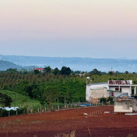 Đất Ven Đà Lạt Giá Chỉ 490 Triệu, Shr, View Đồi Thông Mát Mẻ