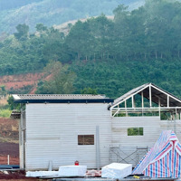 Đất Ven Đà Lạt Giá Chỉ 490 Triệu, Shr, View Đồi Thông Mát Mẻ