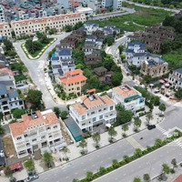 Cần Cho Thuê Shophouse 300M Mặt Đường Đôi 39M Nam An Khánh - Kinh Doanh Sầm Uất, 1 Căn Duy Nhất