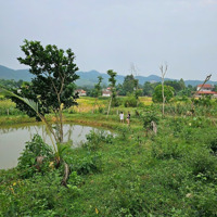 Bán 2.5Ha Đất Mặt Đường 301 Ngọc Thanh, Phúc Yên, Vĩnh Phúc