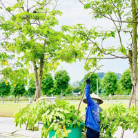 Cắt Lỗ Nhập Tháng Trước 3Tỷ Nay Cần Tiền Bán 2.7Tỷ