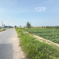 Bán Đất Nền Dự Án Tại Giao Phong, 1,7 Tỷ, 91 M2, Giá Siêu Hời Hàng Hiếm