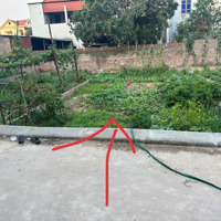 Bán Đất Hương Đình Đoài, Mai Đình, Sóc Sơn, Hà Nội Giá Bán 35 Triệu/M2,Diện Tích70 M2