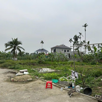 Bán Lô Đất Chính Chủ 73,8Mv Tại Thượng Trang Bát Trang , An Lão