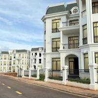 Biệt thự đơn lập 250m2 hướng đông nam, dự án Ecocity giá 11 tỷ