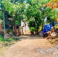 [ Đối Diện Đường Hòn Chồng_ Hẻm Ô Tô Phía Bên Kia Đường 2/4 ] Cách Biển : 550M, Giá Bán 3,3 Tỷ