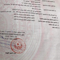 Chính Chủ Bán Đất Đại Sơn Đô Lương Giá Rẻ Giật Mình, Không Mua Là Mất Cơ Hội