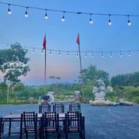 Chính Chủ Bán Đất Đại Sơn Đô Lương Giá Rẻ Giật Mình, Không Mua Là Mất Cơ Hội