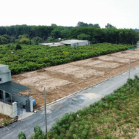 Bán Đất Khu Dân Cư Tại An Viễn, Trảng Bom, Đồng Nai, 9,5 Triệu / M2, Sổ Sẵn Gần Sân Bay Long Thành