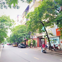 Bán Nhà Mặt Phố Mai Anh Tuấn, 283M2, Mặt Tiền 8M, View Hồ, Xây Building Kinh Doanh Đỉnh!
