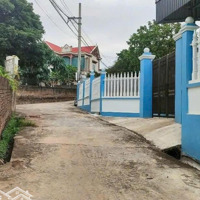 Lô Đất Sổ Đẹp Tại Tòng Bạt, Ba Vì, Hn Mặt Tiền 11M, Sâu 25M, Cách Đường Tl92 Chỉ 500M, Mỹ Đình 60Km