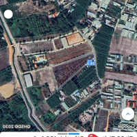 Bán Lô Gócdiện Tích200M2 7X29M Tại An Phước, Long Thành Bank Hỗ Trợ 90% Giá Bán, Đối Diện Kcn An Phước