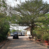Chính Chủ Bán Đất Nhà Xưởng Gần 2800M2, Mặt Tiền Trần Văn Giàu.