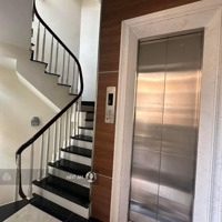 Đẹp Từng Góc! Phố Nguyễn Khánh Toàn, Thang Máy Xịn, Gara, Nội Thất Chuẩn Resort, 66M X 6T
