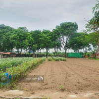 Spcc, Gần Công Viên Vườn Hoa Đất Phân Lô Quân Khu 3 Nam Hải, Hải An (C315) Liên Hệ: 0917696698