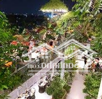Bán Nhanh Nhà Nguyễn Bá Huân, Phường Thảo Điền, Quận 2, 197M2 - Dt: 13X15 Chỉ 29 Tỷ