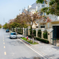 Duy Nhất 1 Căn Song Lập - View Trường - Kinh Doanh, Văn Phòng Đỉnh Tiện Ích Đồng Bộ Giá Tốt Nhất