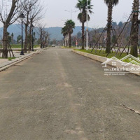 Chính Chủ Cần Bán Lô Liền Kề Trong Centre Ville Lương Sơn, View Công Viên Cạnh Đường Liên Xã