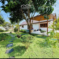 Bán Đất Nhà Vườn, Nghĩ Dưỡng Chủ Đang Cần Tiền Bán Giá Gấp