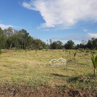 Cần Bán Gấp 500M2 Đất Ở, 500M2 Đất Nông Nghiệp Với Gía 2,3 Tỷ. Hỗ Trợ Vay. Cần Ra Gấp Trả Nợ