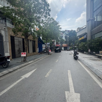 Biệt Thự Nhà Vườn- Phân Lô Royal City- Oto Tránh- Vỉa Hè Rộng- 100M2 - Mặt Tiền 7M - 42 Tỷ