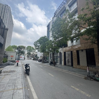Biệt Thự Nhà Vườn- Phân Lô Royal City- Oto Tránh- Vỉa Hè Rộng- 100M2 - Mặt Tiền 7M - 42 Tỷ