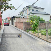 Đất Đẹp 46,8M2 Đình Trung, Xuân Nộn - Vios Đỗ Cửa, Ngõ Thông - Giá Tốt