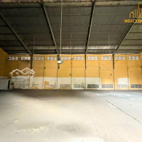 Cho Thuê Kho - Bãi Trống Gần Chợ Đầu Mối Tại Hóc Môn