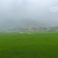 Lô Đất Nghỉ Dưỡng 4200M2 Tại Khánh Thượng, Ba Vì, Hn View Núi, Cánh Đồng Tứ Phía, Không Khí Dịu Mát