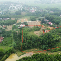 4749M2 Full Thổ Cư, Tặng Thêm Hơn 3000M2 Đất Ngoài Sổ. Tổngdiện Tích7887M2 Tại Võ Miếu Thanh Sơn Phú Thọ