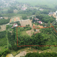4749M2 Full Thổ Cư, Tặng Thêm Hơn 3000M2 Đất Ngoài Sổ. Tổngdiện Tích7887M2 Tại Võ Miếu Thanh Sơn Phú Thọ