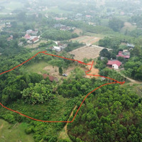 4749M2 Full Thổ Cư, Tặng Thêm Hơn 3000M2 Đất Ngoài Sổ. Tổngdiện Tích7887M2 Tại Võ Miếu Thanh Sơn Phú Thọ