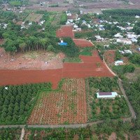 Bán Lỗ, Bán Nhanh Lô Đất Sào Đá Bạc 72X85M, Đất Đỏ Trồng Cà Phê Sầu Riêng, Gần Ngã 6