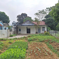 Siêu Phẩm Lô Góc 368M Bám Đường Nhựa Sẵn Nhà Cấp 4 View Núi Giá Mềm