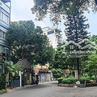 Bán Nhà Thái Hà, 125M2, Mặt Tiền 8.6M, Ô Tô Đỗ Cửa, Dòng Tiền, Tích Sản-Giữ Tiền!