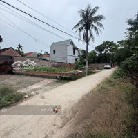 Siêu Phẩm Lô Góc 56M2, Thụy Hương, Chương Mỹ, Vuông Như Bánh Chưng Mt: 7X8M