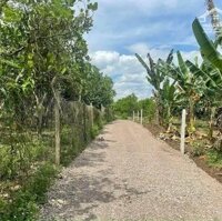 Lô Đất Củ Chi đắc địa cần đổi chủ, 80 m2, giá 1,8 tỷ