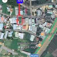 Bán Lô Đất Biển Ở Tân Thắng, Xã Cát Hải, Giá Bán 1,35 Tỷ, 255 M2, Cách Biển 300M