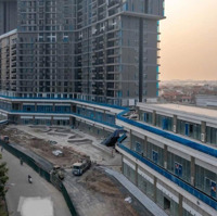 Nhanh Tay Sở Hữu Căn Hộ 60M2 Tầng Chân Mây Tòa Sky Forest, Ecopark, Tầng Đẹp, View Đẹp