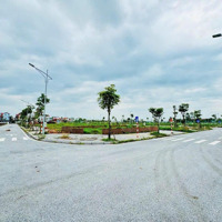 Bán Đất Đấu Giá Lk3 Thụy Lâm, Đông Anh, View Vườn Hoa Tuyệt Đẹp, Đường 7M Có Vỉa Hè, Giá Đầu Tư