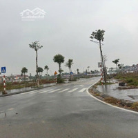 Bán Đất Đấu Giá Lk3 Thụy Lâm, Đông Anh, View Vườn Hoa Tuyệt Đẹp, Đường 7M Có Vỉa Hè, Giá Đầu Tư