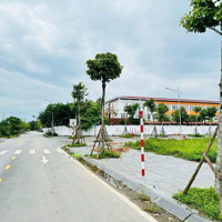 Bán Đất Đấu Giá Lk3 Thụy Lâm, Đông Anh, View Vườn Hoa Tuyệt Đẹp, Đường 7M Có Vỉa Hè, Giá Đầu Tư