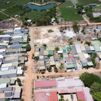 118M2 Đất Tân Hải - Lagi - Cần Bán Nhanh Giá Bán 930 Triệu Sổ Hồng Sẵn - Hỗ Trợ Vay Cho Khách Mua