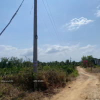 Bán Đất- Diện Tích: 2000M2, Mặt Tiền Ngang 36,5M, Giá Tốt Xã Tân Lập, Hàm Thuận Nam, Bình Thuận