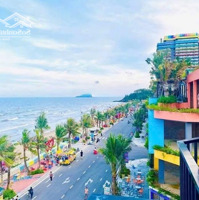 Đất Nền Lightland Hải Tiến, 16 Triệu / M2, 100 M2, Hoằng Ngọc, Hoằng Hóa, Thanh Hóa Kinh Doanh Tốt