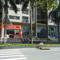 Bán Kiot Mặt Đường Chung Cư Vesta Hà Đông Giá Nhỉnh 40 Triệu/M2. Buôn Bán Sầm Uất