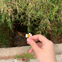 Bán Đất Tại Tân Tiến, Đồng Phú, Bình Phước, 12 Tỷ, 2.927,2 M2