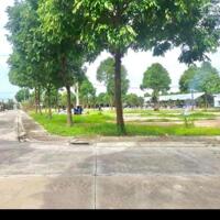 BÁN ĐẤT SỔ SẲN NGAY SAU TRUNG TÂM HÀNH CHÍNH BÀU BÀNG